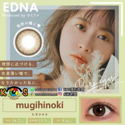EDNA 1day Mugihinoki エドナ ワンデー むぎひのき EDNA 1day Mugihinoki エドナ ワンデー むぎひのき